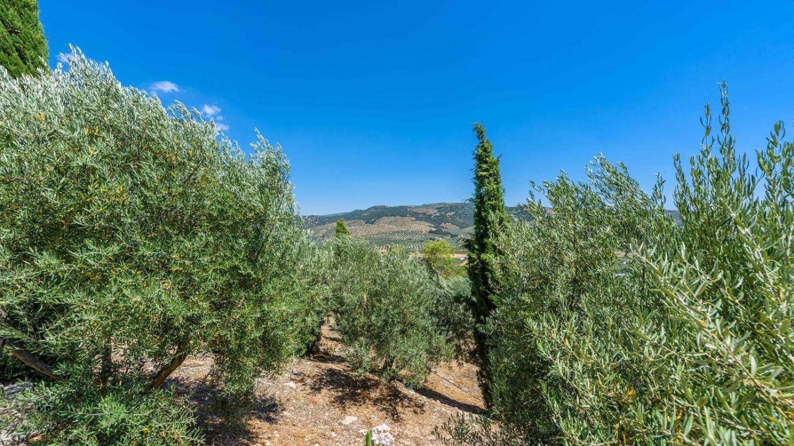 Cortijo Casablanca Priego De Cordoba By Ruralidays Villa Exteriör bild